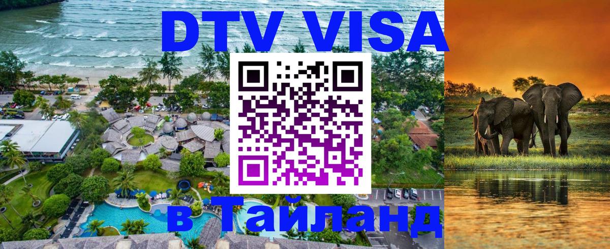 Оформление DTV визы под ключ: стоимость и тарифы, только загранпаспорт - 20.11.2025 